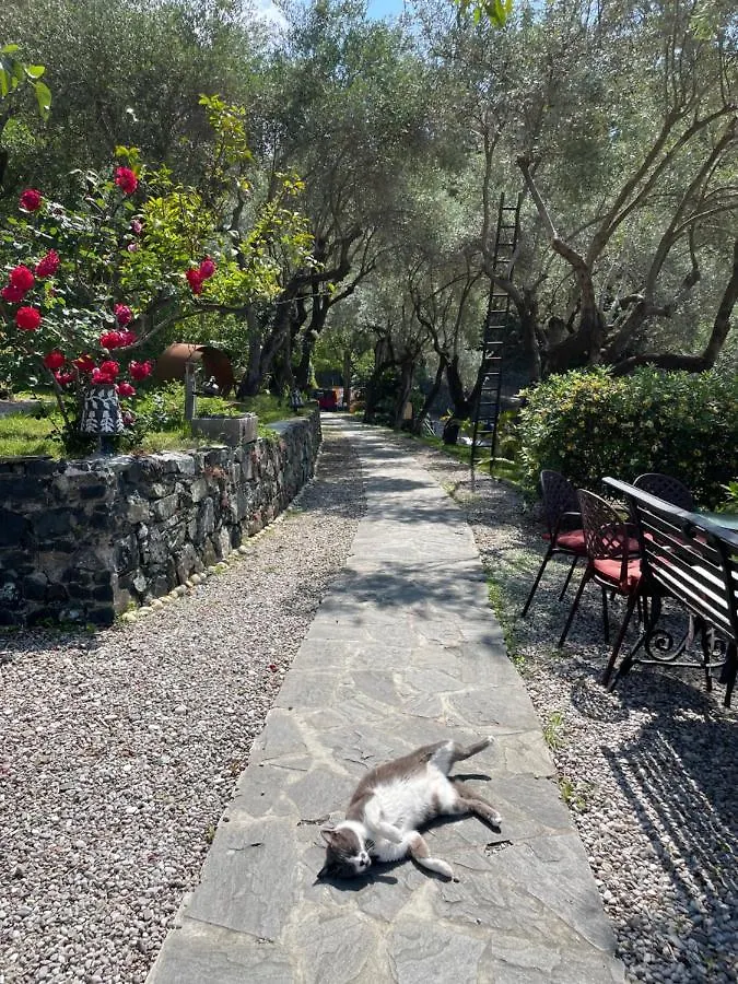 Hotel Villa Belvedere Bonassola