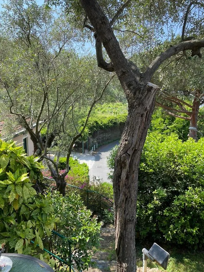 Hotel Villa Belvedere Bonassola 3*,